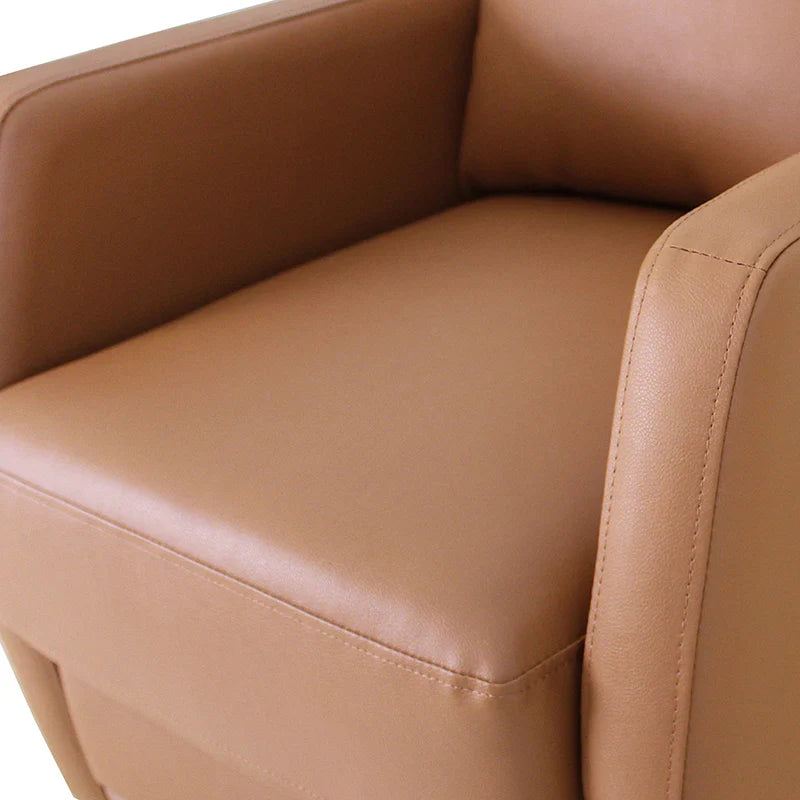 Benita Swivel Recliner